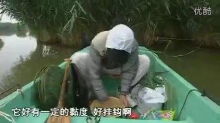 国产路亚钓鱼视频,探寻本土水域的激情与魅力